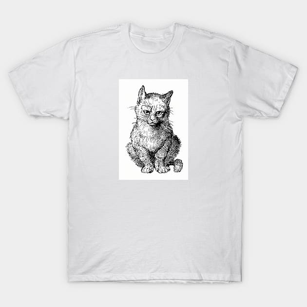 Vintage Victorian style cat engraving T-Shirt by mike11209